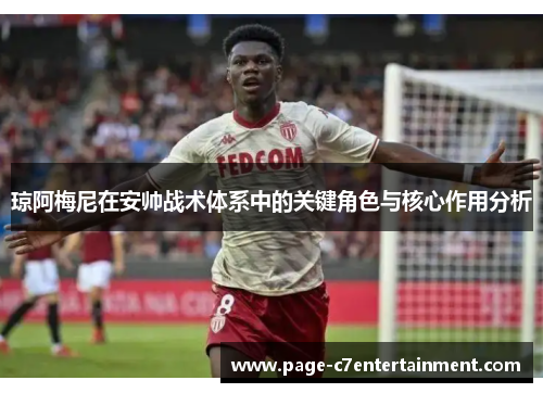 琼阿梅尼在安帅战术体系中的关键角色与核心作用分析