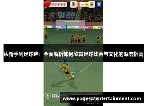 从新手到足球迷：全面解析如何欣赏足球比赛与文化的深度指南
