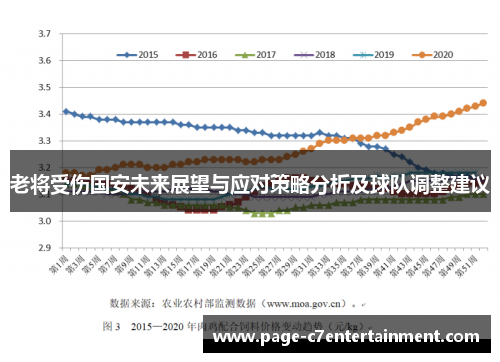 老将受伤国安未来展望与应对策略分析及球队调整建议