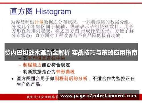 费内巴切战术革新全解析 实战技巧与策略应用指南