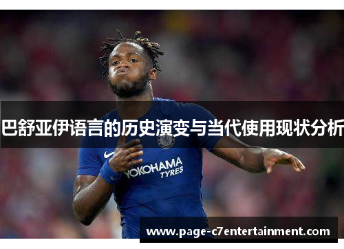 巴舒亚伊语言的历史演变与当代使用现状分析 巴舒亚伊语言的历史演变与当代使用现状分析