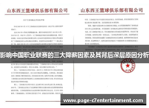 影响中国职业联赛的三大降薪因素及其背后深层原因分析