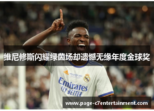 维尼修斯闪耀绿茵场却遗憾无缘年度金球奖