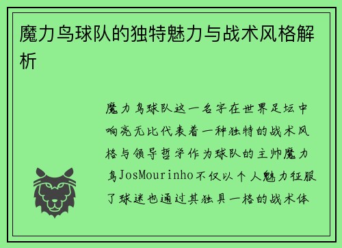 魔力鸟球队的独特魅力与战术风格解析
