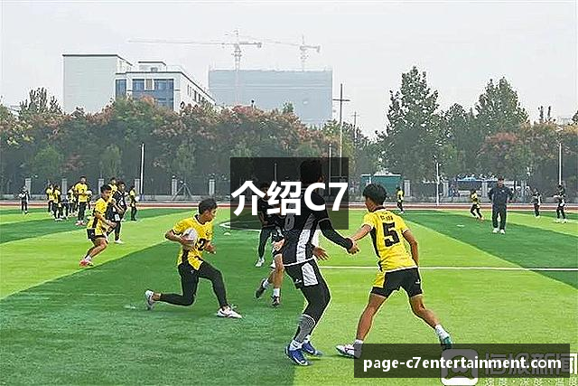 介绍C7